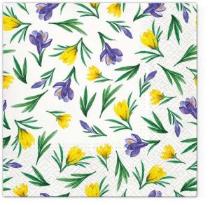 Ubrousky PAW TETE L (20ks) Spring Crocuses