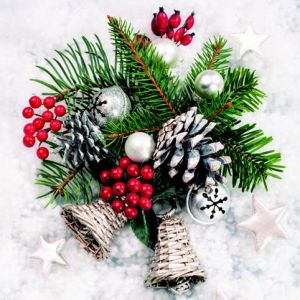 Ubrousky DAISY L (20ks) Xmas Winter Decor