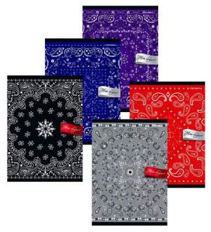 TOP sešit A5 96l 70g Elegance /5/