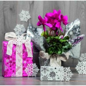 Fólie 100x70 PNP Floquet Double Oro /25/