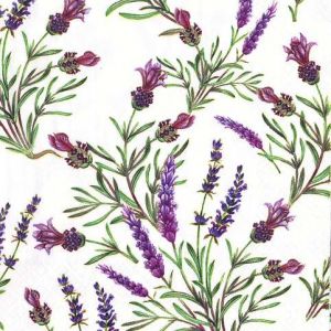 Ubrousky MAKI L (20ks) Lavender Twigs