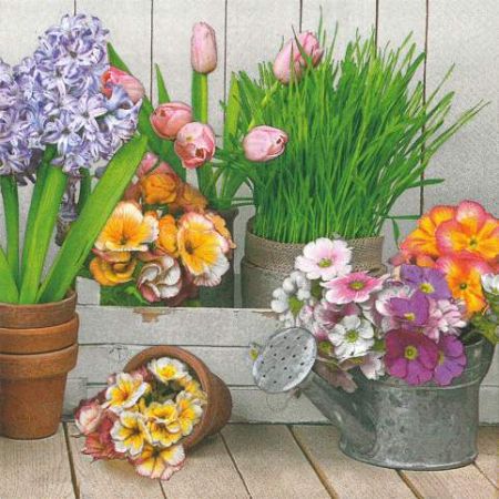 Ubrousky MAKI L (20ks) Let&#39;s Plant Spring