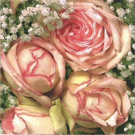 Ubrousky GOMAR L (20ks) Royal flower