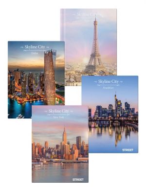 Záznamní kniha Skyline City A5 60l link.