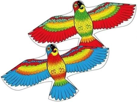 IMP Drak 17537 120x55cm polyster