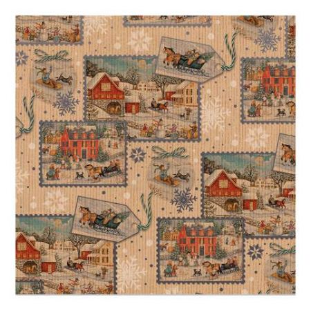 ARGUS Balící papír NATUR arch kraft 100x70cm 09010002