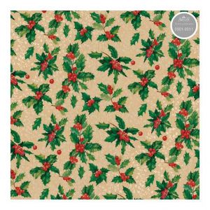 ARGUS Balící papír NATUR arch kraft 100x70cm 09010011