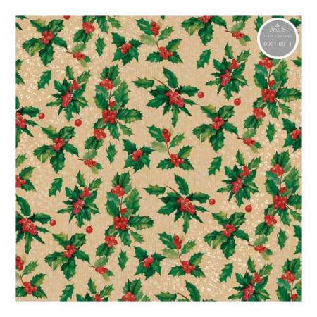 ARGUS Balící papír NATUR arch kraft 100x70cm 09010011