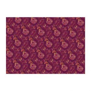 ARGUS Balící papír STANDARD arch 100x70cm 09110399