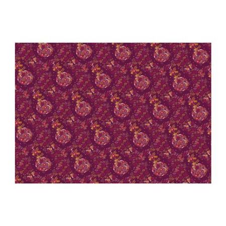 ARGUS Balící papír STANDARD arch 100x70cm 09110399