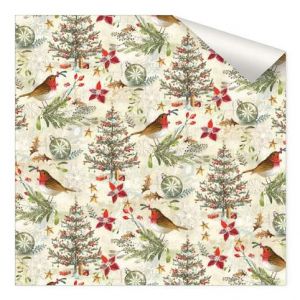 ARGUS Balící papír STANDARD arch 100x70cm 09110407