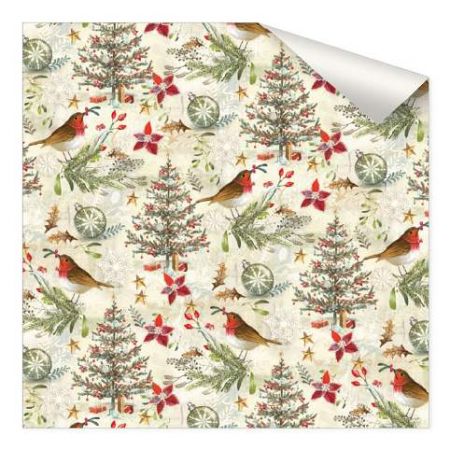 ARGUS Balící papír STANDARD arch 100x70cm 09110407