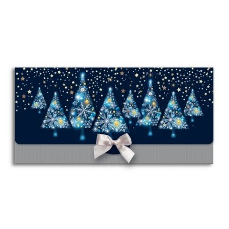 ARGUS Obálka na peníze vánoční luxusní 81-6003