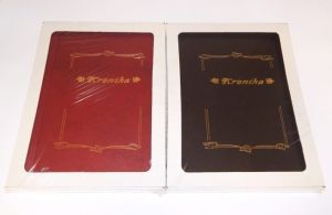 Kronika A3, 100 listů, mix barev