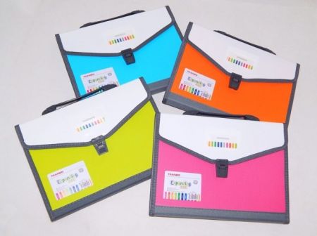 Box na dokumenty A4, 13kapes (KA12B)