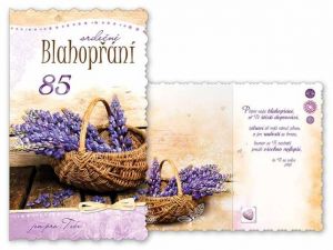 Přání k narozeninám 85 M11-417 H