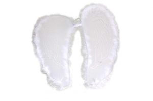 Křídla ANDĚL ( 880289 )