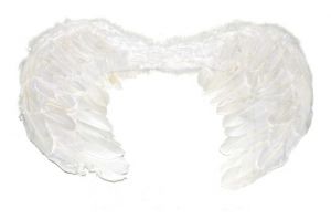 Křídla ANDĚL peří ( 880280 )