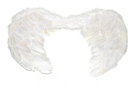 Křídla ANDĚL peří ( 880280 )