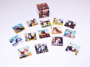 pexeso BOX LUX - pejsci