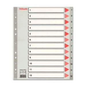 Rozlišovač Esselte Maxi 1 - 12, 12 listů