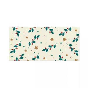 ALBI Vánoční kapsa na peníze - Hvězdičky