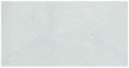 Obálka 110x220 DL 120g stříbrná /20/