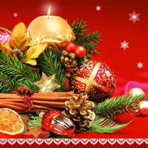 Ubrousky DAISY L (20ks) Christmas Spices