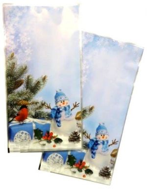 SAP Sáček PP 21x40 cm Sněhulák/50/