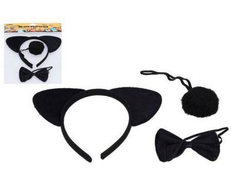 Set karneval - medvěd