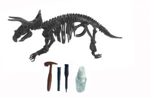 Archeologický set – Triceratops