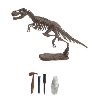 Archeologický set – Tyrannosaurus Rex