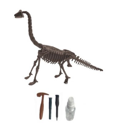 Archeologický set – Brachiosaurus