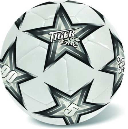 Míč kožený fotbalový stříbrný č.5