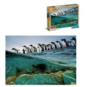 Puzzle 1000 dílků Compact nat geo - gentoo penguins