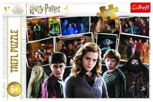 Puzzle Harry Potter a přátelé 160 dílků