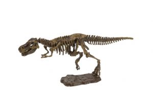 Archeologický set 3D Tyranosaurus
