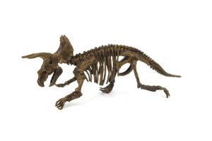 Archeologický set 3D Triceratops