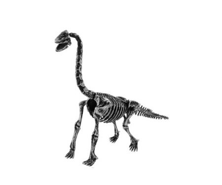 Archeologický set 3D Brachiosaurus