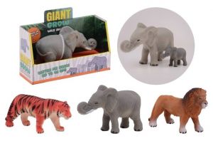 Rostoucí divoké zvířátko