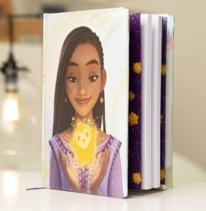 Metalický diář Disney Wish