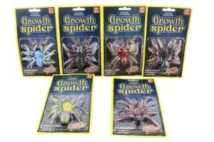 Pavouk rostoucí a svítící