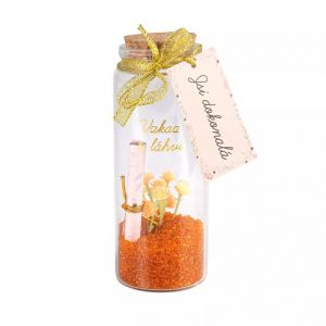 ALBI Vzkaz v láhvi - Jsi dokonalá