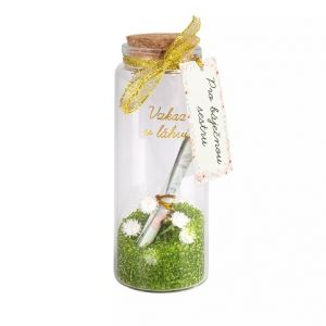 ALBI Vzkaz v láhvi - Pro sestru