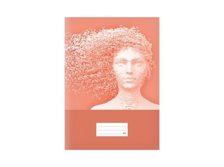 Školní sešit LUX A4 460