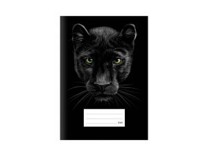 Školní sešit LUX A5 540