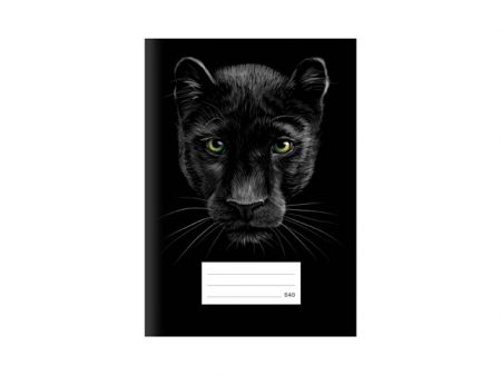 Školní sešit LUX A5 540