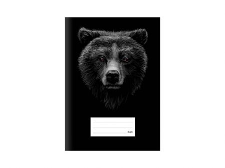 Školní sešit LUX A5 540