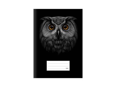 Školní sešit LUX A5 540