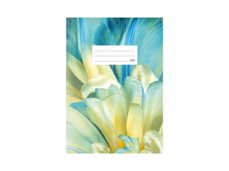 Školní sešit LUX A5 540